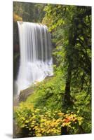 Middle North Falls, Silver Falls State Park, Oregon, USA-Jamie & Judy Wild-Mounted Premium Photographic Print