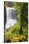 Middle North Falls, Silver Falls State Park, Oregon, USA-Jamie & Judy Wild-Stretched Canvas