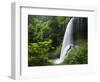 Middle North Falls, Silver Falls State Park, Oregon, USA-Adam Jones-Framed Photographic Print