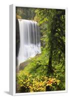 Middle North Falls, Silver Falls State Park, Oregon, USA-Jamie & Judy Wild-Framed Photographic Print