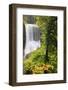 Middle North Falls, Silver Falls State Park, Oregon, USA-Jamie & Judy Wild-Framed Photographic Print