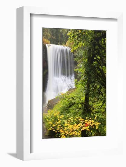 Middle North Falls, Silver Falls State Park, Oregon, USA-Jamie & Judy Wild-Framed Photographic Print