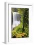 Middle North Falls, Silver Falls State Park, Oregon, USA-Jamie & Judy Wild-Framed Photographic Print