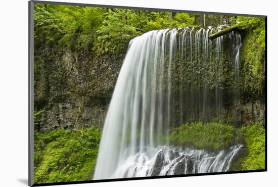 Middle North Falls, Silver Falls State Park, Oregon, Usa-Michel Hersen-Mounted Photographic Print