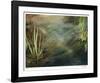 Middle Pond-Jan Wagstaff-Framed Giclee Print