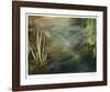 Middle Pond-Jan Wagstaff-Framed Giclee Print