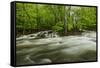 Middle Prong in spring, Great Smoky Mountains National Park, Tennessee-Adam Jones-Framed Stretched Canvas