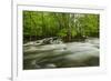 Middle Prong in spring, Great Smoky Mountains National Park, Tennessee-Adam Jones-Framed Photographic Print