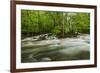 Middle Prong in spring, Great Smoky Mountains National Park, Tennessee-Adam Jones-Framed Photographic Print