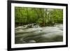 Middle Prong in spring, Great Smoky Mountains National Park, Tennessee-Adam Jones-Framed Photographic Print