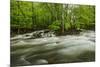 Middle Prong in spring, Great Smoky Mountains National Park, Tennessee-Adam Jones-Mounted Photographic Print