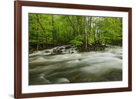 Middle Prong in spring, Great Smoky Mountains National Park, Tennessee-Adam Jones-Framed Premium Photographic Print