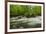 Middle Prong in spring, Great Smoky Mountains National Park, Tennessee-Adam Jones-Framed Premium Photographic Print