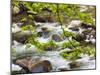 Middle Prong of the Little River, Great Smoky Mountains National Park, Tennessee, Usa-Adam Jones-Mounted Photographic Print