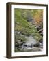 Middle Prong-J.D. Mcfarlan-Framed Photographic Print