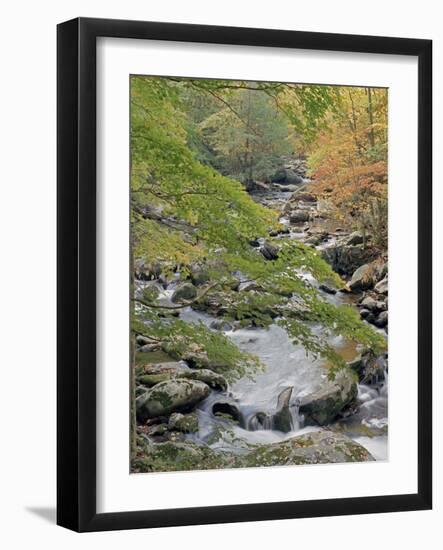 Middle Prong-J.D. Mcfarlan-Framed Photographic Print