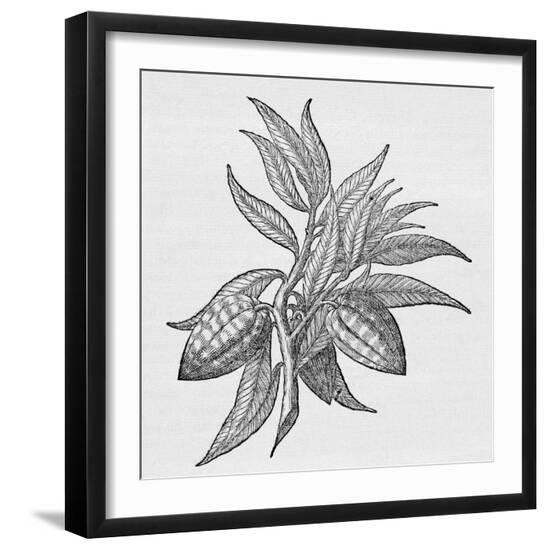 Premium Photographic Print, , large