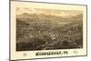 Middlebury, Vermont - Panoramic Map-Lantern Press-Mounted Premium Giclee Print