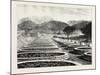 Middlesborough Kentucky: Charcoal Furnace Usa-null-Mounted Giclee Print