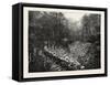 Middlesborough Kentucky: Development of an Iron Mine, USA-null-Framed Stretched Canvas