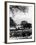 Middlesex Snow Scene-null-Framed Photographic Print