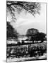 Middlesex Snow Scene-null-Mounted Photographic Print