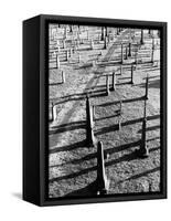 Middletown Cemetery-Jack Delano-Framed Stretched Canvas