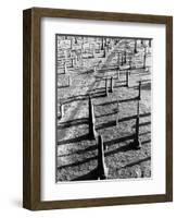 Middletown Cemetery-Jack Delano-Framed Photographic Print