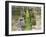 Midhowe Chambered Cairn on Rousay island, Orkney islands, Scotland.-Martin Zwick-Framed Premium Photographic Print