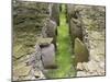 Midhowe Chambered Cairn on Rousay island, Orkney islands, Scotland.-Martin Zwick-Mounted Premium Photographic Print