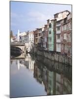 Midieval Houses, Agout River, Quai Des Jacobins, Castres, Midi-Pyrenees Region, France-Walter Bibikow-Mounted Photographic Print