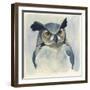 Midnight Aves I-Grace Popp-Framed Art Print