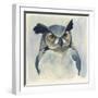 Midnight Aves I-Grace Popp-Framed Art Print