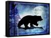 Midnight Bear-LightBoxJournal-Framed Stretched Canvas