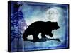 Midnight Bear-LightBoxJournal-Stretched Canvas