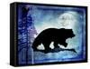 Midnight Bear-LightBoxJournal-Framed Stretched Canvas