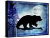 Midnight Bear-LightBoxJournal-Stretched Canvas