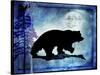 Midnight Bear-LightBoxJournal-Stretched Canvas