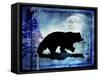 Midnight Bear-LightBoxJournal-Framed Stretched Canvas