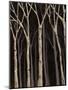 Midnight Birches I-Jade Reynolds-Mounted Art Print