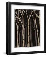 Midnight Birches I-Jade Reynolds-Framed Art Print