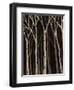 Midnight Birches I-Jade Reynolds-Framed Art Print