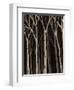 Midnight Birches I-Jade Reynolds-Framed Art Print