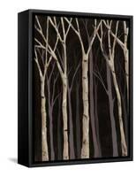 Midnight Birches I-Jade Reynolds-Framed Stretched Canvas