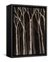 Midnight Birches I-Jade Reynolds-Framed Stretched Canvas