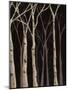 Midnight Birches II-Jade Reynolds-Mounted Art Print