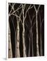 Midnight Birches II-Jade Reynolds-Framed Art Print