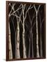 Midnight Birches II-Jade Reynolds-Framed Art Print