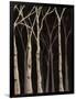 Midnight Birches II-Jade Reynolds-Framed Art Print