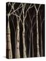 Midnight Birches II-Jade Reynolds-Stretched Canvas